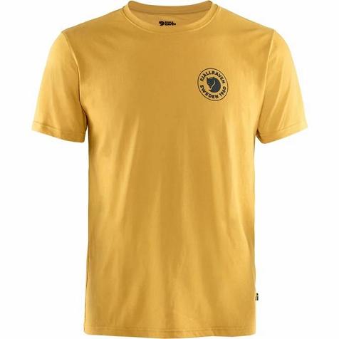 Fjallraven 1960 Logo T-Shirt Yellow Singapore For Men (SG-51373)